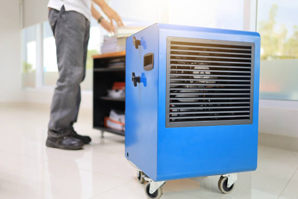Best Industrial Mold Remediation  in Lockwood, MT