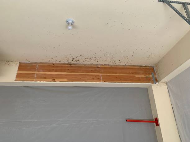 Best Forensic Mold Investigation  in Lockwood, MT
