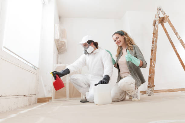 Best Emergency Mold Remediation  in Lockwood, MT
